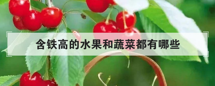 含铁高的水果和蔬菜都有哪些