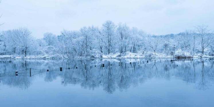 湖心亭看雪原文及翻译