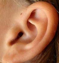 掏耳朵会变聋？