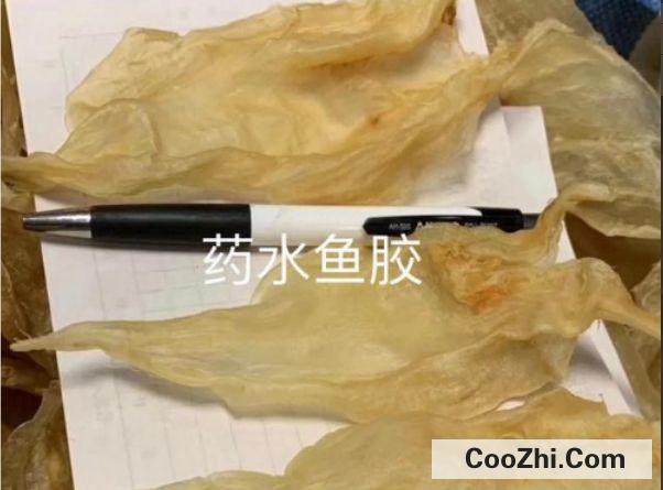 如何辨别鱼胶真假