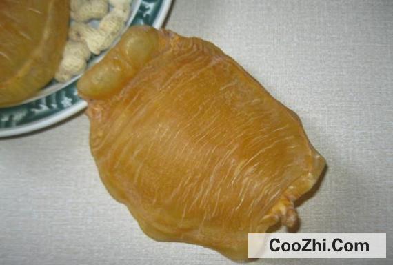 如何辨别鱼胶真假