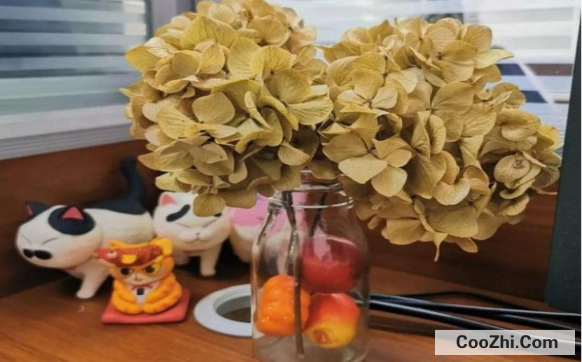 如何制作干花