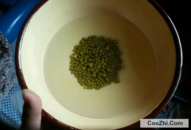 豆芽菜怎么种植自制豆芽