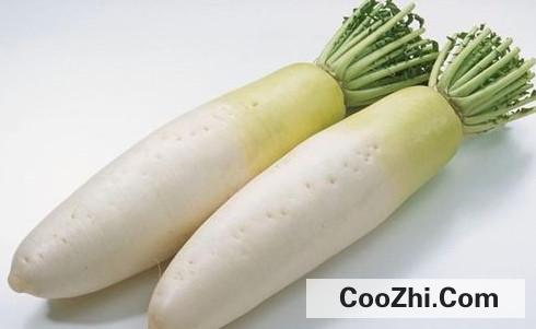 如何存放蔬菜