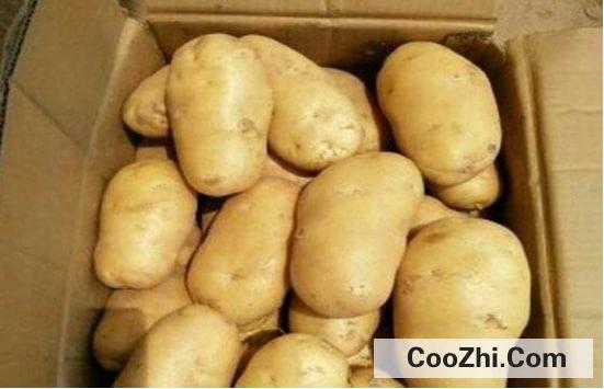 士豆保存方法最好的