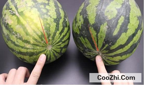 怎么选口口脆西瓜