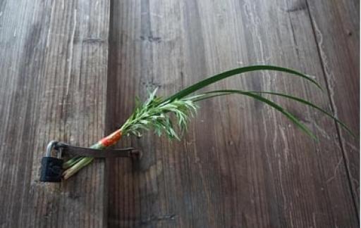 菖蒲怎么挂在门上