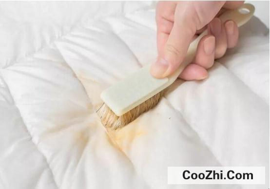 怎么清洗羽绒服