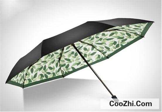 让雨伞长寿从科学保养开始