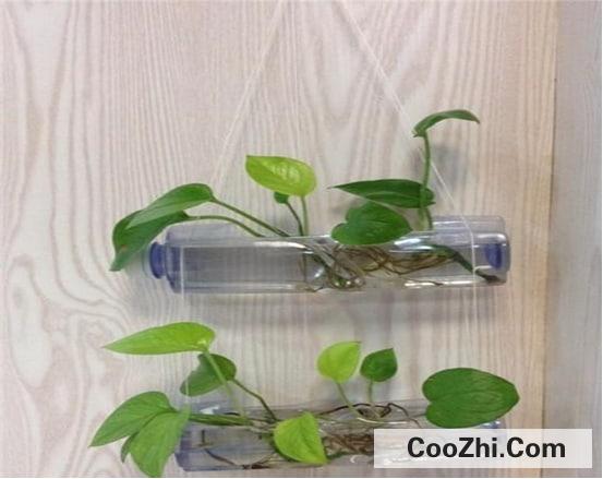 矿泉水瓶的五个妙用