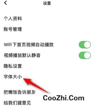 懒饭怎么设置字体大小