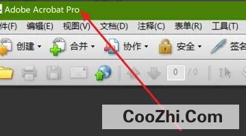 Acrobat如何设置全屏时鼠标在延迟后隐藏