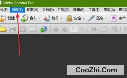Acrobat如何设置全屏时鼠标在延迟后隐藏