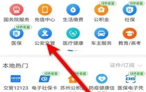 查车违章如何查