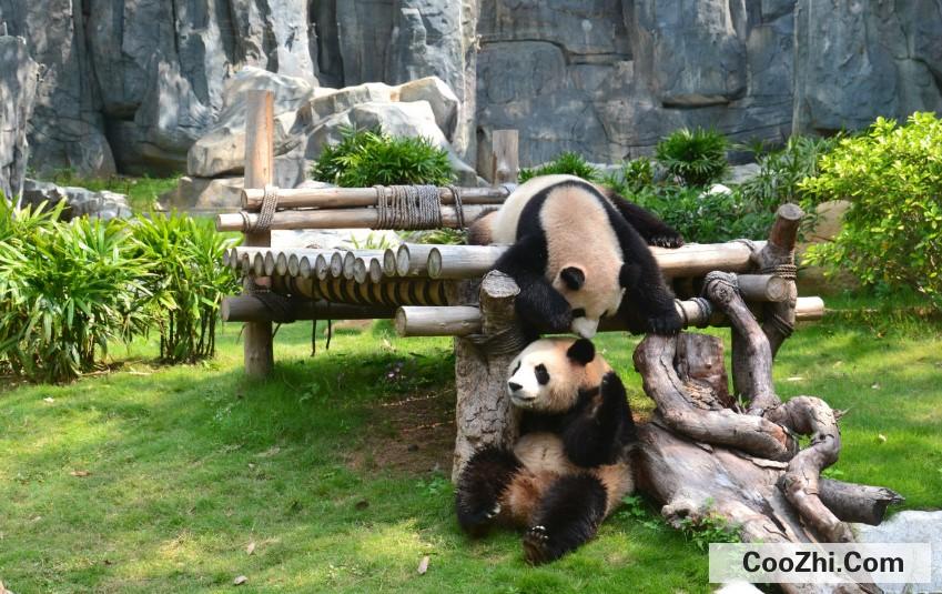 什么时候去动物园比较好