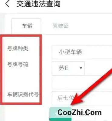 查车违章如何查