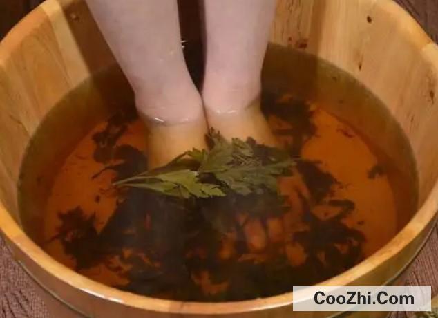 艾草有哪些作用