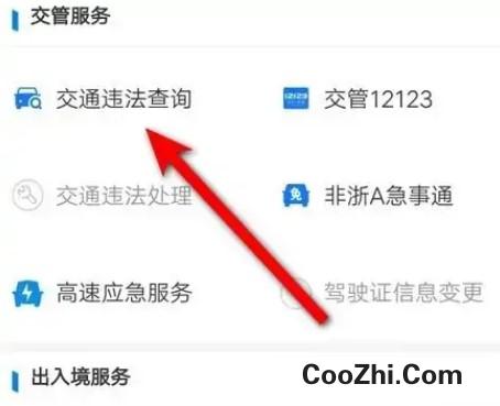 查车违章如何查