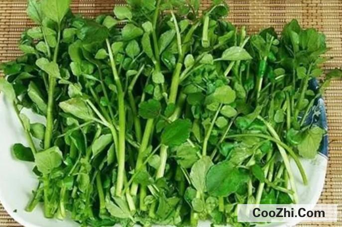 吃豆瓣菜的好处