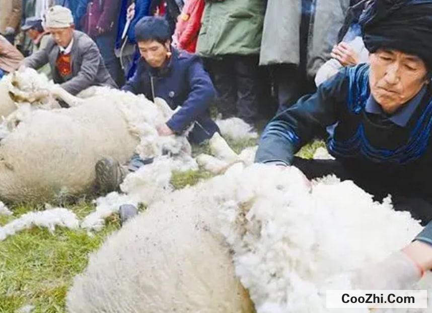 200多的羊毛被是真的吗