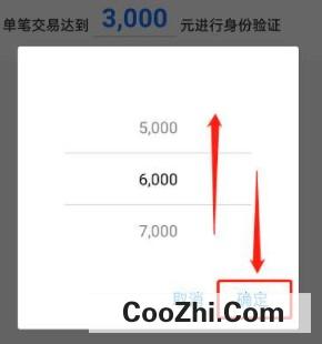支付宝开启大额保护在哪设置