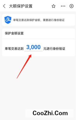 支付宝开启大额保护在哪设置