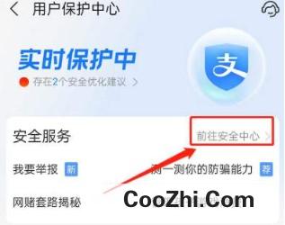 支付宝开启大额保护在哪设置