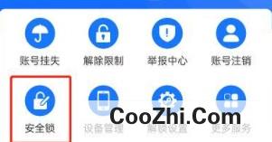 支付宝开启大额保护在哪设置