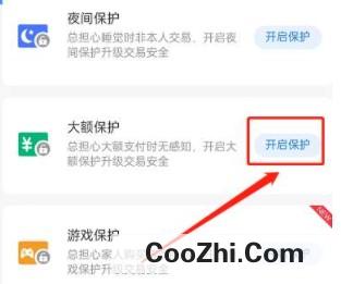 支付宝开启大额保护在哪设置