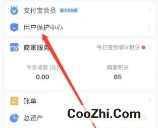 支付宝开启大额保护在哪设置