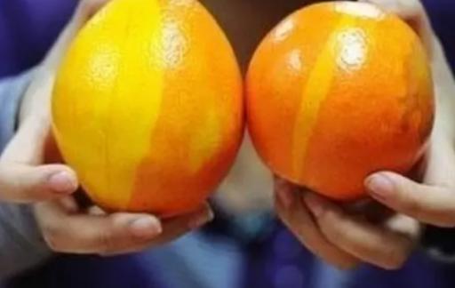 如何辨别染色橙子