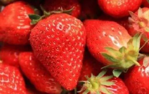 保存草莓的方法