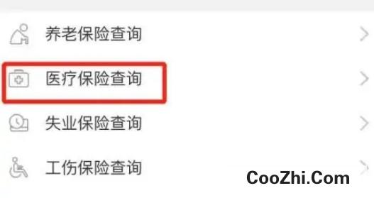 怎么查询医保缴费记录
