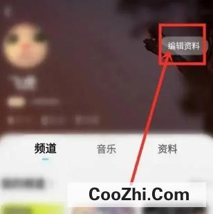 酷狗概念版如何设置兴趣