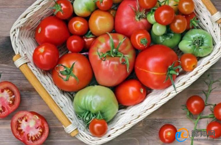 番茄是蔬菜还是水果