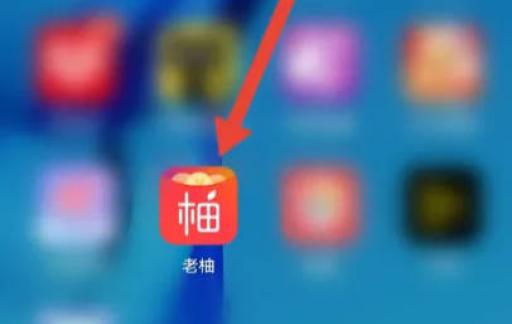 如何使用老柚APP开启麦克风权限？