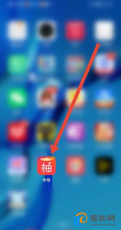 如何使用老柚APP开启麦克风权限？