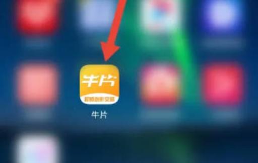 如何使用牛片APP查看接单教程？