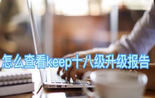 怎么查看KEEP十八级升级报告