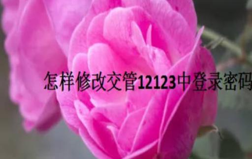 怎样修改交管12123中登录密码