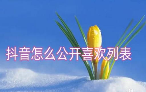 抖音怎么公开喜欢列表