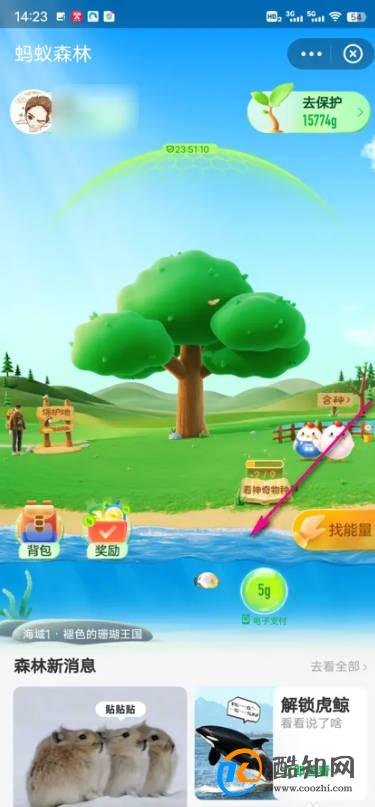 怎么查看支付宝潘多拉海域动态
