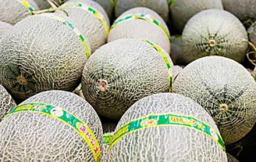 哈密瓜的市场价格是多少