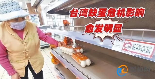 台湾鸡蛋和茶叶蛋限购，为何会出现“鸡蛋荒”？