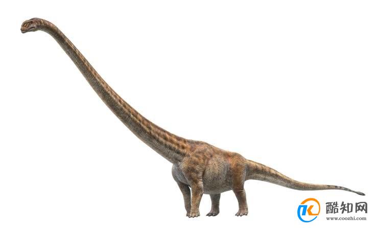 科学家在中国发现脖子最长恐龙长达15米