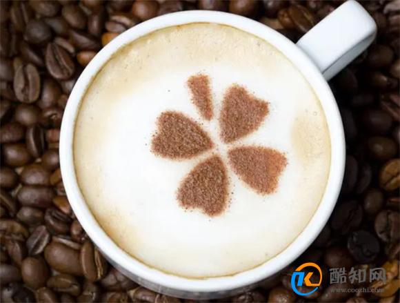 酵素黑咖啡可以减肥吗