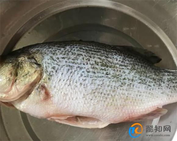 鱼处理干净了放冷藏能放多久