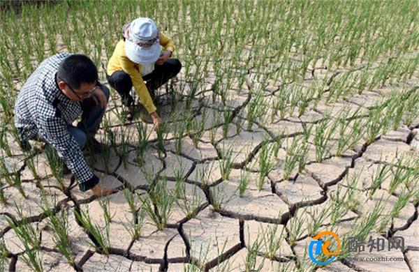 云南多地发布干旱橙色预警 受夏季风影响？