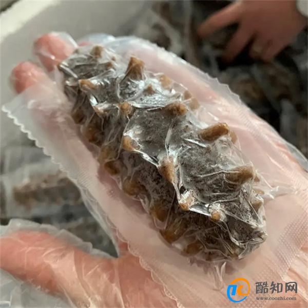 海参的储藏和保存方法