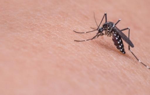 一个蚊子包就险要宝宝命，夏季防蚊有学问，父母要注意